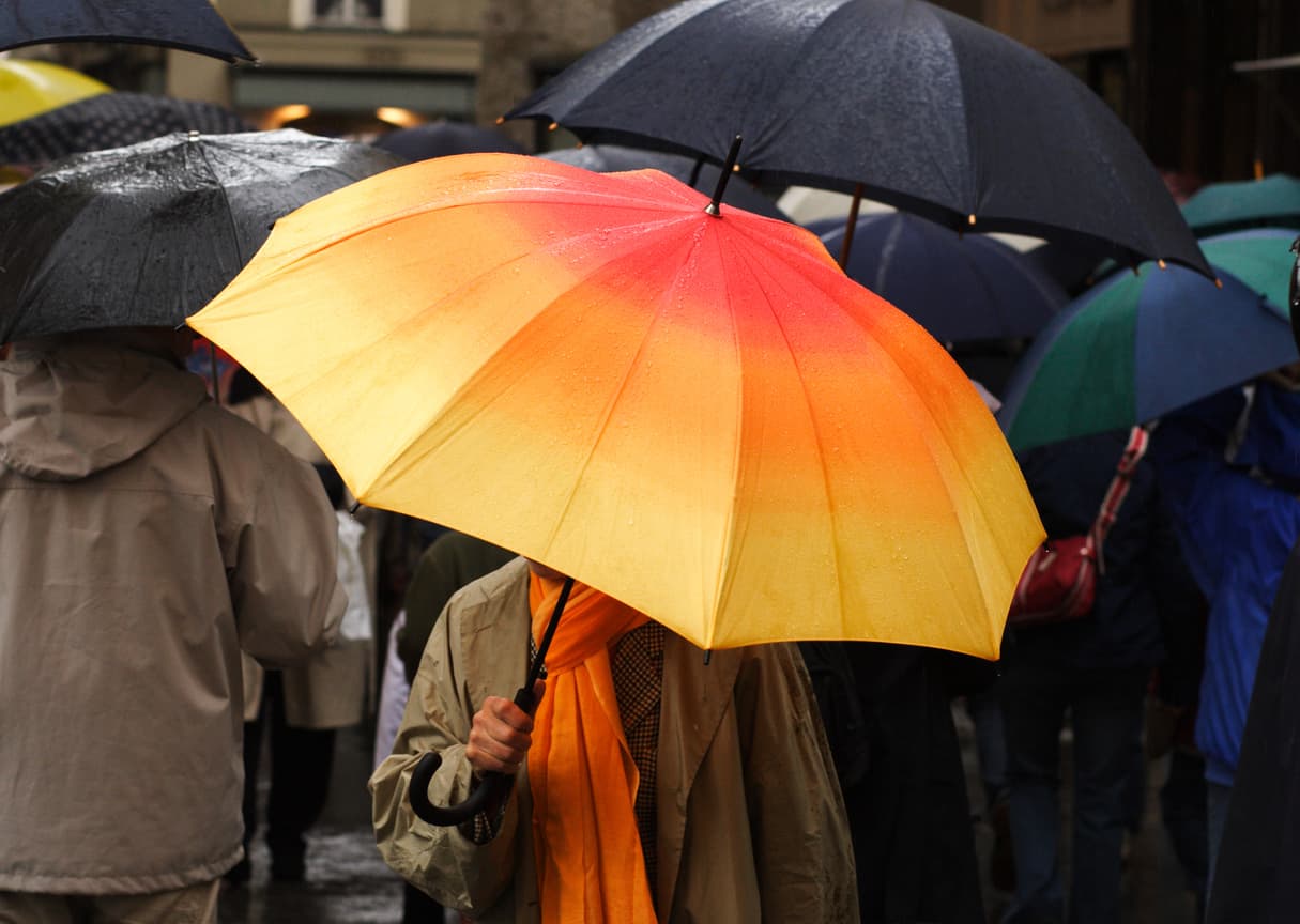 Eigentümer - Bild 12